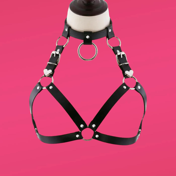 Harnesses